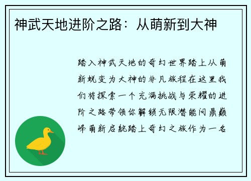 神武天地进阶之路：从萌新到大神